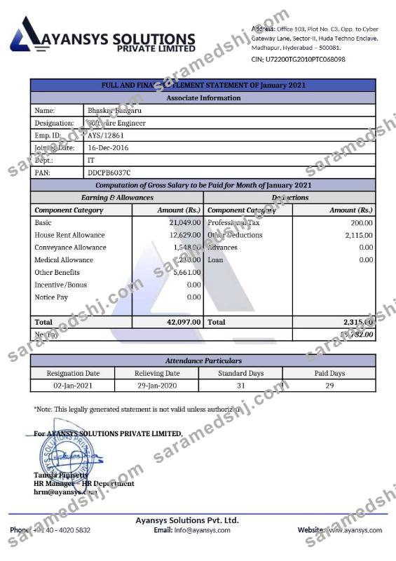 Ayansys Solutions software company template in Word and PDF formats.pdf, 1